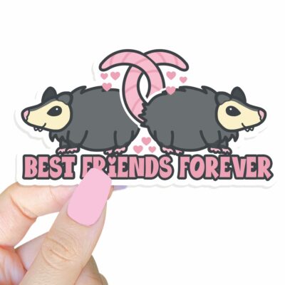 This image shows an hand-drawn adorable sticker, Best Friends Forever Possum Sticker, which is available to purchase from HunnieByte.com