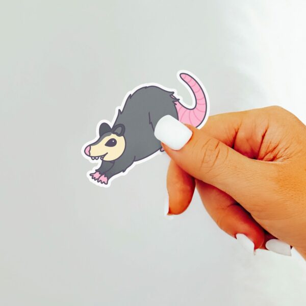 This image shows an hand-drawn adorable sticker, Stretchy Possum Sticker, which is available to purchase from HunnieByte.com