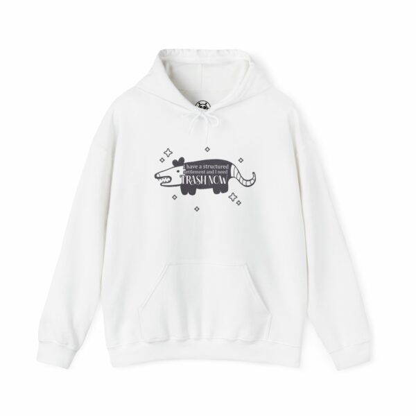 This image shows an adorable hand-drawn hoodie, Trash Now Possum Hoodie, which is available to purchase from HunnieByte.com